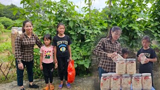 The Weather was Erratic Vang Ly and Two Girls went to Collect Firewood and Sell Chili Bamboo Shoots [upl. by Belac]