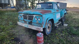 I BOUGHT A 1962 DODGE FARGO D300 PROJECT [upl. by Catlee]