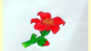 How to draw a quot Bombax Ceiba Flower  শিমুল ফুল  quot step by step very easy [upl. by Oguh962]