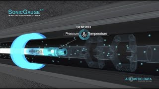 SonicGauge™ Wireless Monitoring System [upl. by Prudy]