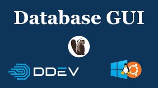 Database GUI for DDEV on WSL2 [upl. by Sykes]