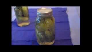 CANNING HOMEMADE DILL PICKLES  No Fail Pickles [upl. by Wira980]