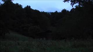 Night Time in the mountains  10 hours of HD Frogs Crickets Cicadas and other insects [upl. by Argyres]