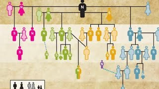 Worlds oldest family tree reconstructed from Stone Age tomb [upl. by Eelitan]