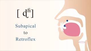 ɖʱ  voiced aspirated subapical retroflex stop [upl. by Cherye]