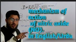 Mechanism of action of nitric oxide  NO by Dr uut in English [upl. by Shayne815]