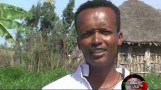 Gurage Ethiopian Traditional Music [upl. by Meldon280]