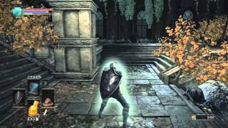 DARK SOULS 3 Cestus  Caestus Moveset [upl. by Renado601]