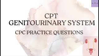 CPT GENITOURINARY SYSTEMCPC PRACTICE QUESTIONSMEDICAL CODING AND BILLING [upl. by Haronid]