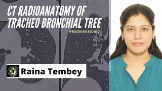 CT TRACHEOBRONCHIAL TREE ANATOMY  RAINA TEMBEY  HRCT CHEST  RADIOANATOMY TRACHEA AND BRONCHI [upl. by Atikram]