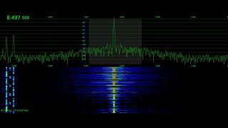 Russian L Single Letter CW Beacon 8497 kHz  Signal Phantom [upl. by Nylarej]