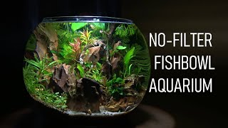 How To Set Up A FISHBOWL The RIGHT Way  No Filter  No Heater  Aquarium Setup [upl. by Wilber]