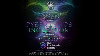 Cyberdelics Incubator  XR for XR [upl. by Onaicul508]