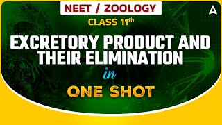 EXCRETORY PRODUCT AND THEIR ELIMINATION IN ONE SHOT  NEET 2023  COMPLETE ZOOLOGY SANKALP BHARAT [upl. by Marsiella527]