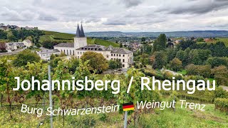 Johannisberg Rheingau Burg Schwarzenstein Weingut Trenz 4K [upl. by Edalb]