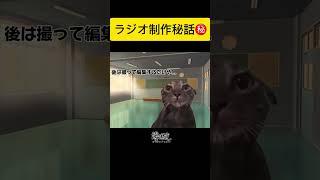 音響学生のラジオ制作秘話【ラジオ番組：響鳴達】shorts猫ミーム ネットミーム ラジオ 広島コンピュータ専門学校 [upl. by Rockwell]