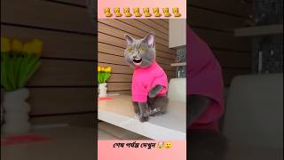 Biraler Original Biral Lagbe 😂😂😂 shortsvideo comedyvideos funny shorts [upl. by Colombi]