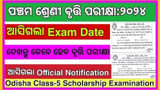 Odisha Class5 Scholarship Exam Update 2024 BNTEducation [upl. by Ravens]