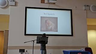 Local Wildlife Presentation with Julie Mailer Auchterarder Guild 150224 Church Hall [upl. by Kantor]