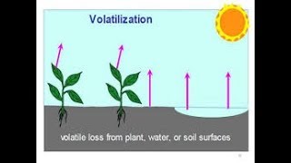 What is volatilization [upl. by Inobe]