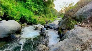 The Sounds of a Calm Flat River The Pleasant Peaceful of River Mountain River Ambience [upl. by Yetnom]