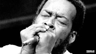 JAMES COTTON  Black Night LIVE 1967 [upl. by Eimma921]