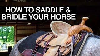 HOW TO TACK UP YOUR HORSE WESTERN [upl. by Kenaz]