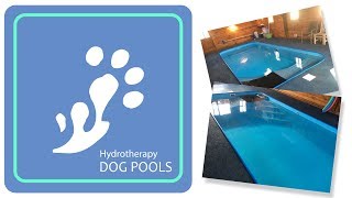 Hydrotherapy Dog Pools For Sale  Canine Water Therapy United Kingdom [upl. by Coussoule]