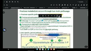 Fructose and galactose metabolism [upl. by Angelika405]