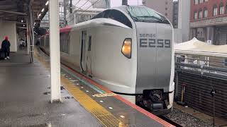 〔成田エクスプレス〕E259系Ne005Ne016編成千葉駅到着発車 [upl. by O'Driscoll]