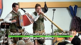 Badergassen Trio  Der Alphorn Michl [upl. by Marilyn]