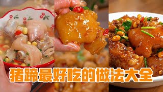 猪蹄猪脚最好吃的做法大全  Chinese Pigs Trotter Recipes [upl. by Rednav825]