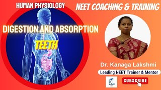 Digestion and Absorption HUMAN DENTITION  Dr Kanaga Lakshmi  NEET Biology 2023  NEET Coaching [upl. by Eimme303]