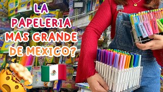 VISITE LA PAPELERÍA MÁS GRANDE DE MÉXICO 🤑📚🖍️✂️  Study with Sol [upl. by Flann]