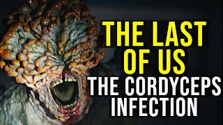 THE LAST OF US Ophiocordyceps Outbreak Infected Factions  Ending EXPLAINED [upl. by Domella581]