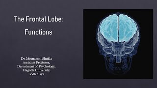 The Frontal Lobe Functions अग्रपालि के कार्य [upl. by Yelrihs]