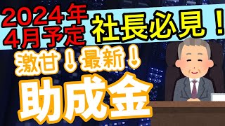 【2024年令和6年度最新助成金予想速報！】厚生労働省より2024年度の助成金予算案が発表されました。令和6年度助成金変更点、新設助成金について社会保険労務士が解説します。 [upl. by Llevaj]