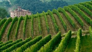 Strada del Barolo e grandi vini di Langa [upl. by Stricklan58]