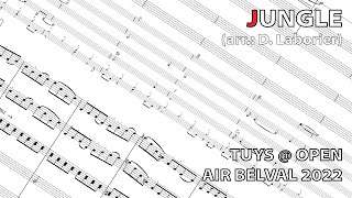 Tuys  Jungle  Open Air Belval 2022  Arranged by David Laborier [upl. by Sucramrej649]