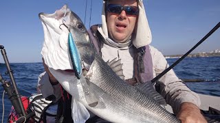 Amazing Fishing Day  Sea Bass and Bonito  Kayak fishing with lures [upl. by Ecinrev901]