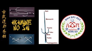 Akamine no Sai Kobudo Shinshukan  Nippon Shorinryu Karatedo amp Kobudo Kyokai  Brasil [upl. by Whittemore]