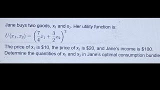 utility maximization optimal consumption bundle [upl. by Baxter38]