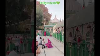 Kaliyar sharif💚♥️kaliyarsharifdargah sabirpiya uttarakhand ytshorts shortsfeed allah naat ♥️💚 [upl. by Aikemal]