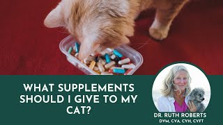 Top 5 Essential Supplements for Your Cats Health Vet Experts Guide Revealed [upl. by Nyrok608]