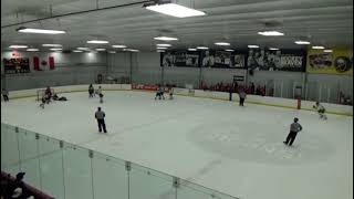 Mike Lemieux 2OT Winner vs Rutgers NECHL Playoffs 2282020 [upl. by Tnerb]