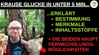 Die Krause Glucke in unter 5 Minuten vorgestellt und erklärt mit Verwechslungsgefahren [upl. by Hgielek]