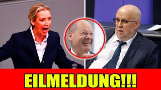 🚨 EILMELDUNG Alice Weidel ist sauer AfDAbgeordneter will für Scholz stimmen [upl. by Fulvi]