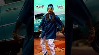 Snoop Dogg CWalk🌴 JunkBoxAIYouTube snoopdogg cwalk dance [upl. by Farlee]