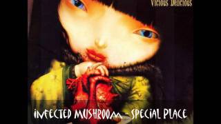 Infected Mushroom  Special Place [upl. by Voe234]