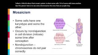 Karyotypes Explained [upl. by Inavoy]